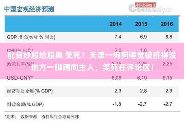 配资炒股给股票 笑死！天津一狗狗睡觉被挤得没地方一脚踢向主人，笑死在评论区！