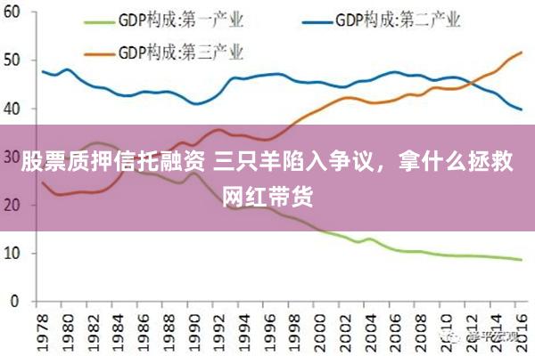 股票质押信托融资 三只羊陷入争议，拿什么拯救网红带货