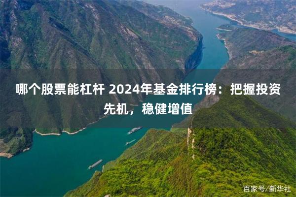 哪个股票能杠杆 2024年基金排行榜：把握投资先机，稳健增值