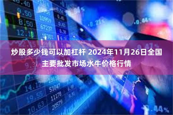 炒股多少钱可以加杠杆 2024年11月26日全国主要批发市场水牛价格行情