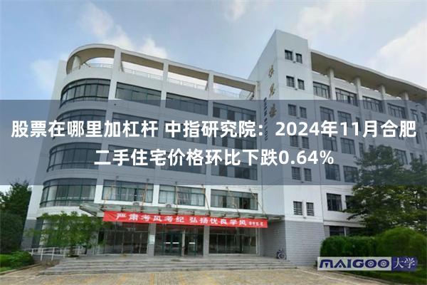 股票在哪里加杠杆 中指研究院：2024年11月合肥二手住宅价格环比下跌0.64%