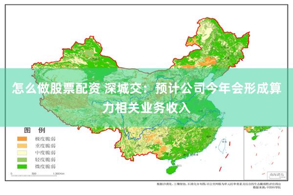 怎么做股票配资 深城交：预计公司今年会形成算力相关业务收入