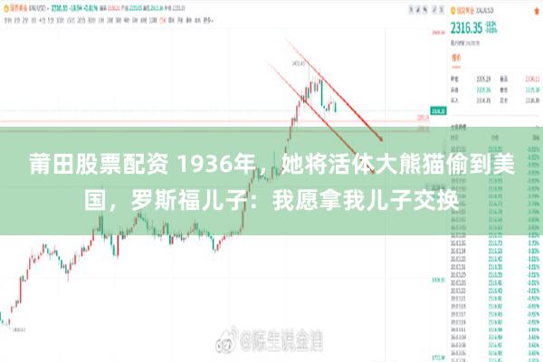 莆田股票配资 1936年，她将活体大熊猫偷到美国，罗斯福儿子：我愿拿我儿子交换