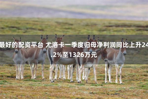 最好的配资平台 尤洛卡一季度归母净利润同比上升24.2%至1326万元