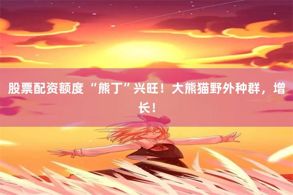 股票配资额度 “熊丁”兴旺！大熊猫野外种群，增长！