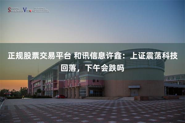 正规股票交易平台 和讯信息许鑫：上证震荡科技回落，下午会跌吗