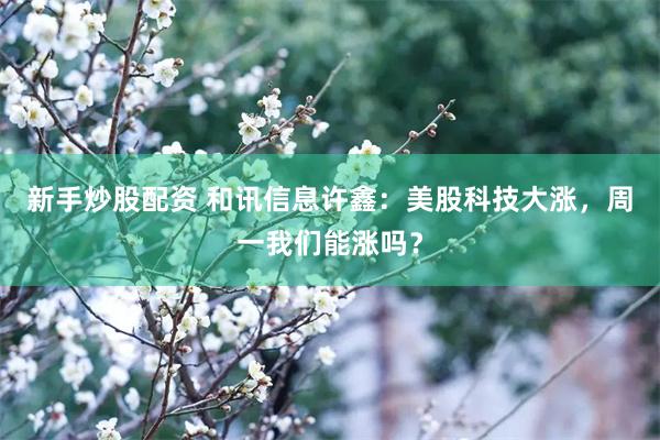 新手炒股配资 和讯信息许鑫：美股科技大涨，周一我们能涨吗？
