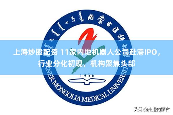 上海炒股配资 11家内地机器人公司赴港IPO，行业分化初现，机构聚焦头部